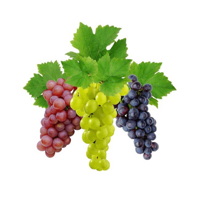 Grapes